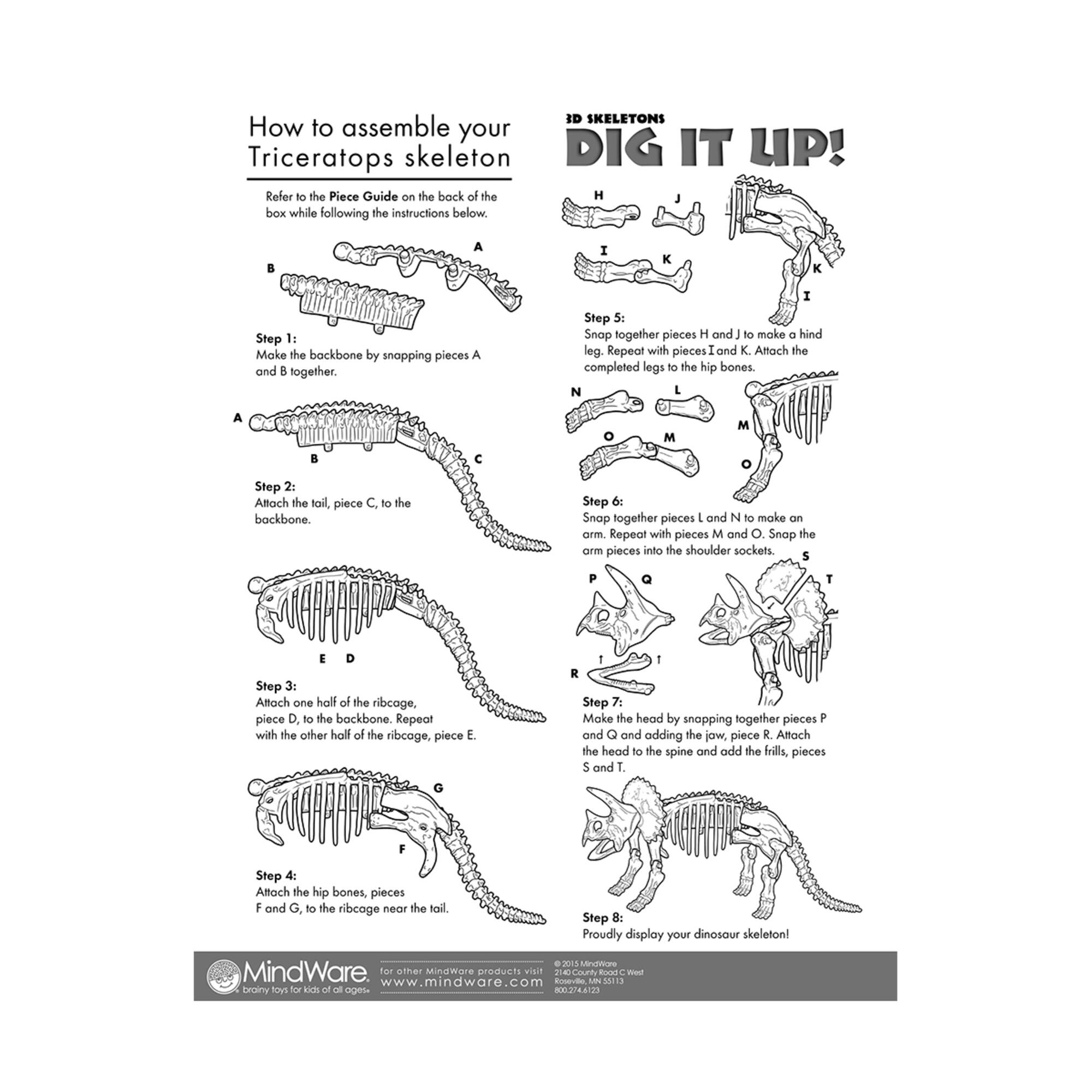 Dig It Up! - Dino Model: Triceratops